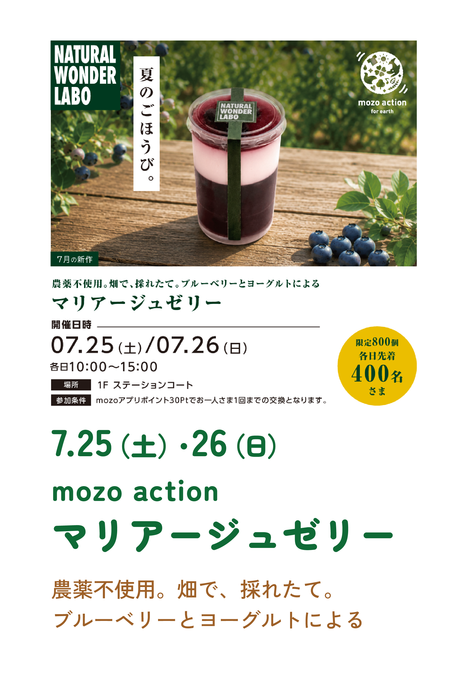 mozo action マリアージュゼリー 農薬不使用。畑で、採れたて。ブルーベリーとヨーグルトによる
